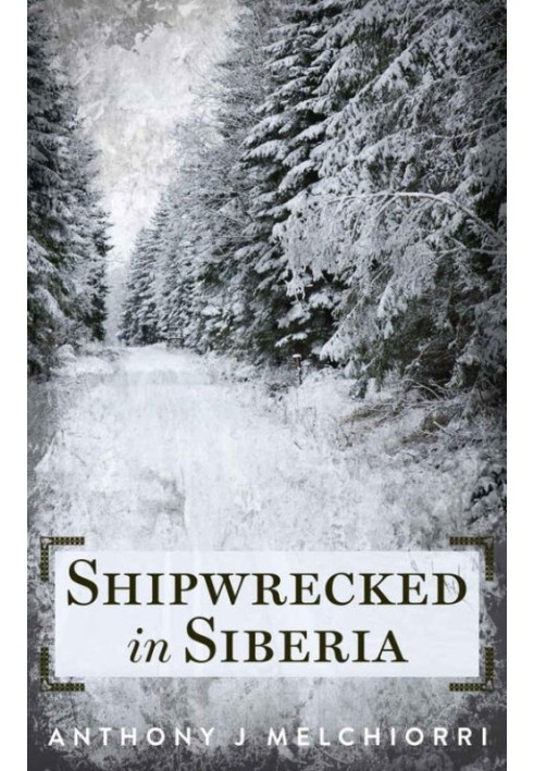 Book Shipwrecked in Siberia