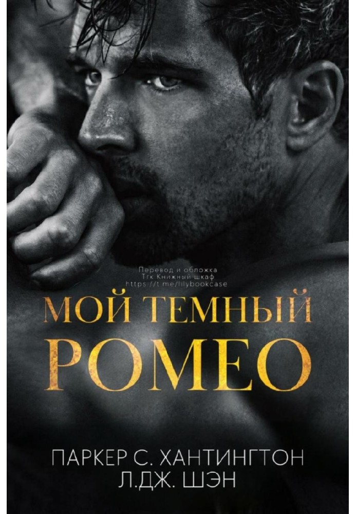 Book My dark Romeo