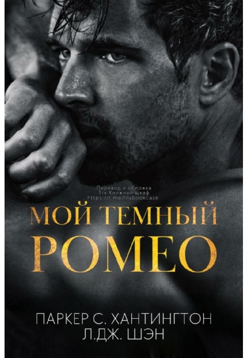 Book My dark Romeo