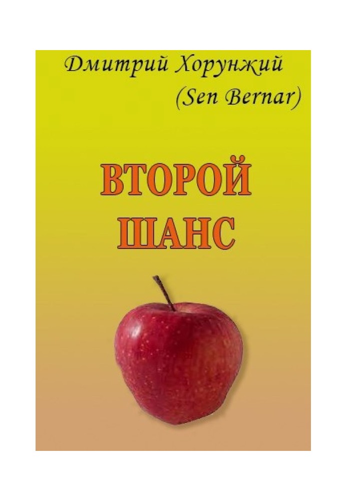 Book Second chance