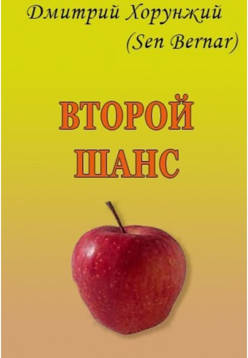 Book Second chance