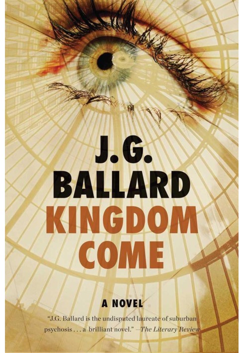 Книга Kingdom Come: роман