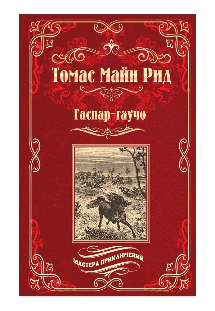 Книга Гаспар-гаучо. Затерявшаяся гора