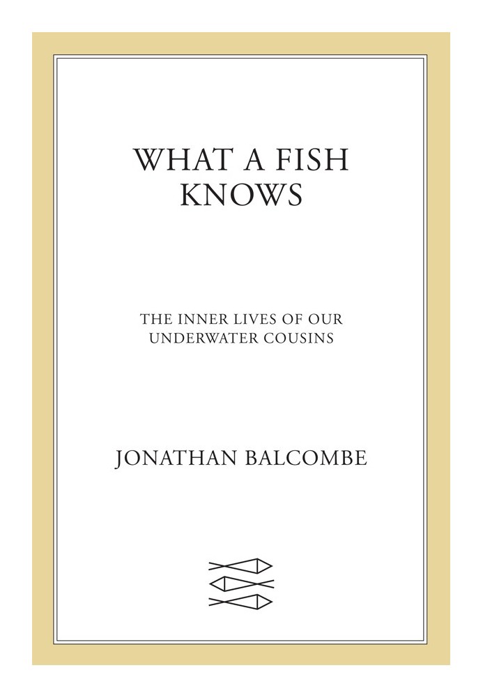 Book What does the fish know? The inner life of our underwater relatives