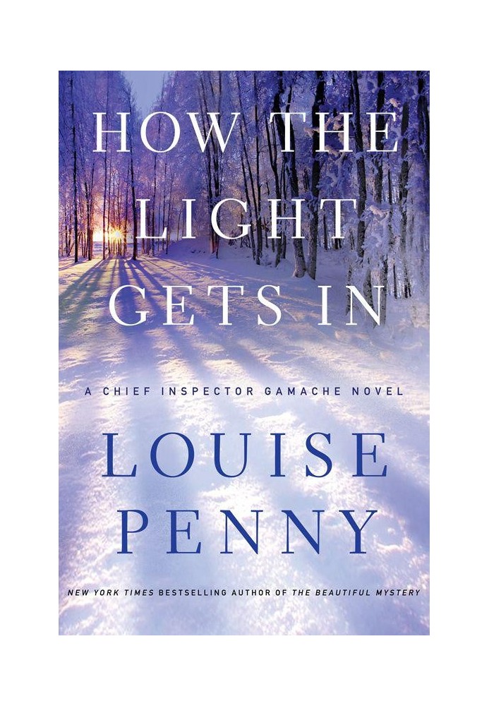 Book How the Light Gets In