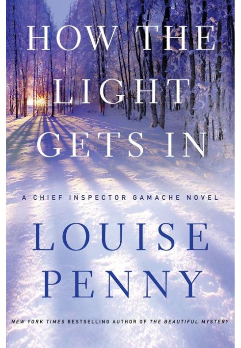 Book How the Light Gets In