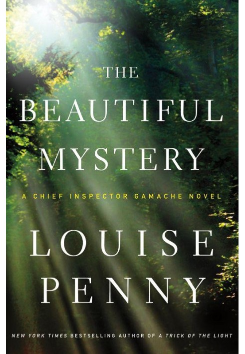 Book The Beautiful Mystery