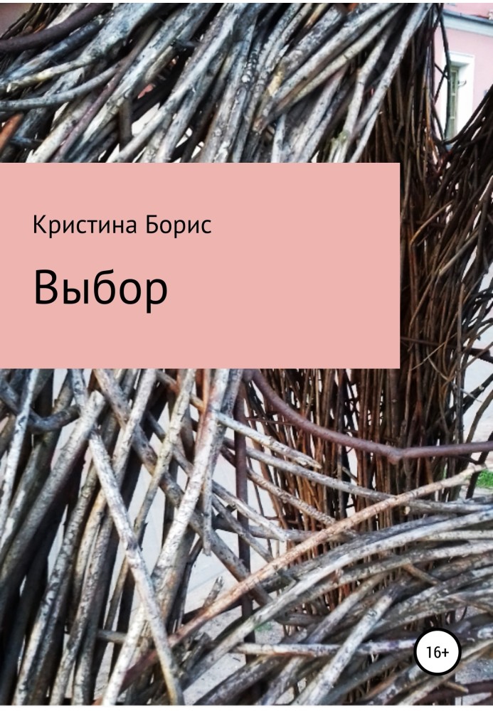 Книга Выбор Майка
