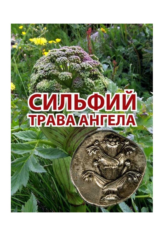 Книга Сильфий - трава ангела
