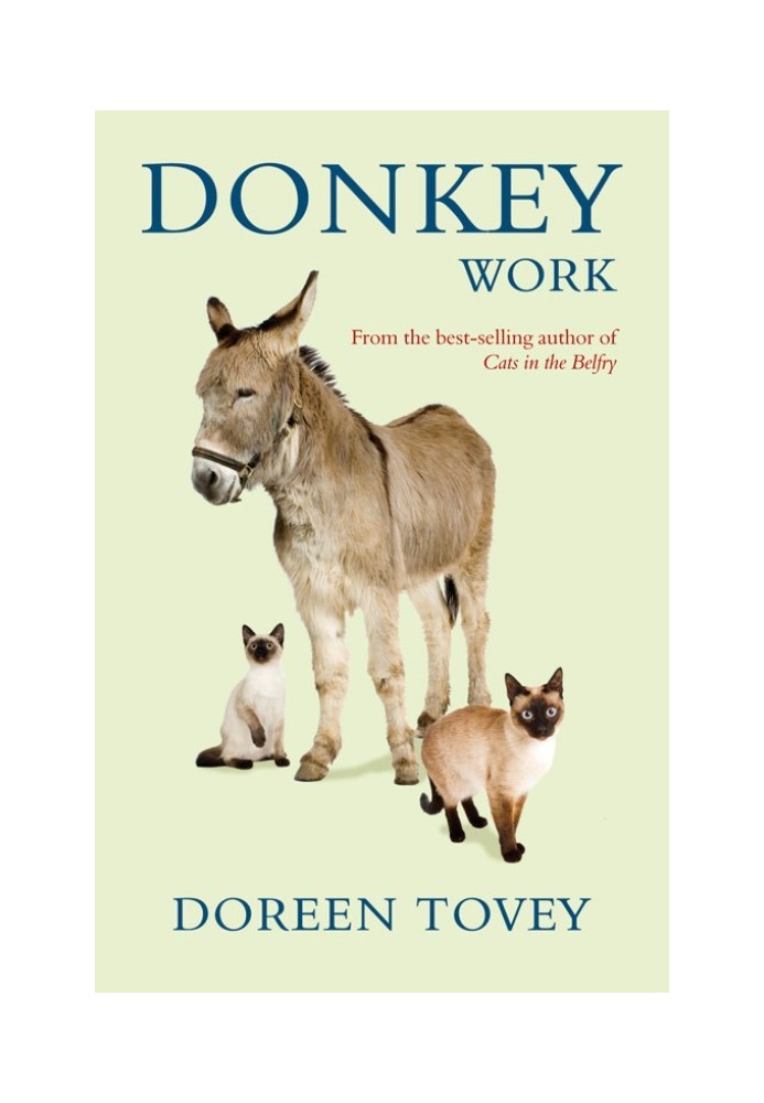 Book Donkey Work