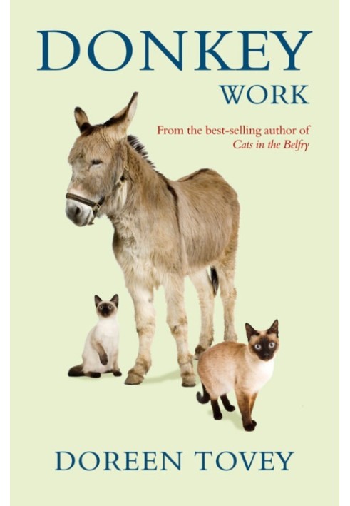 Book Donkey Work
