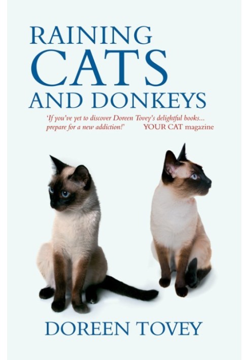 Книга Дощ котів і ослів