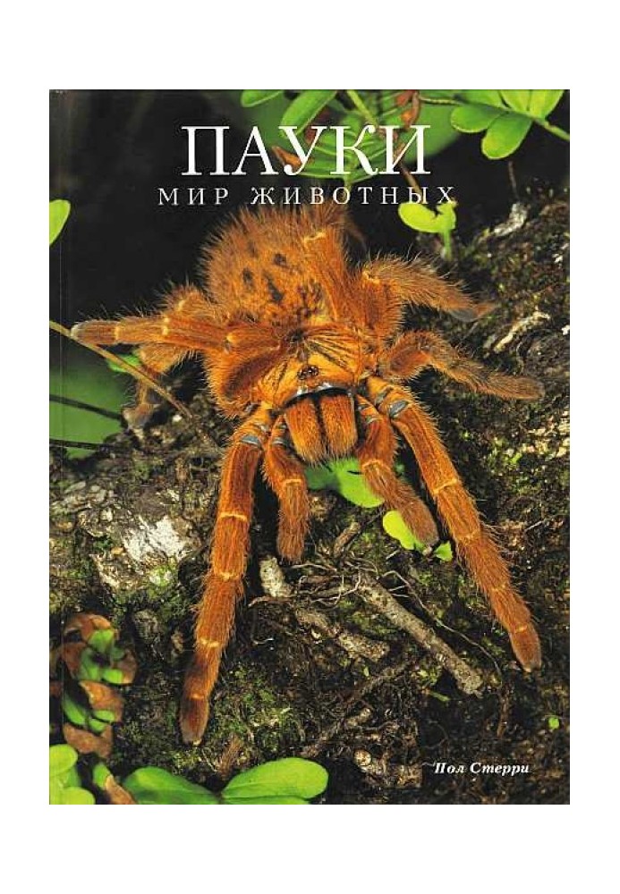 Book Spiders