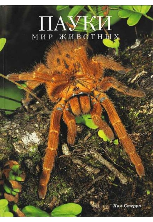 Book Spiders