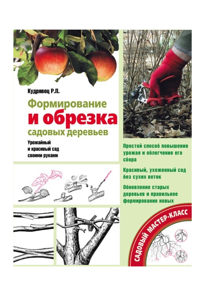 Book Formation and pruning of garden trees