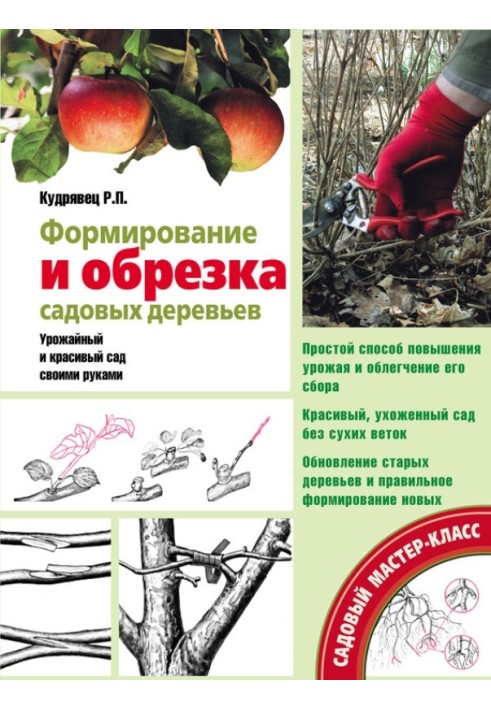 Book Formation and pruning of garden trees