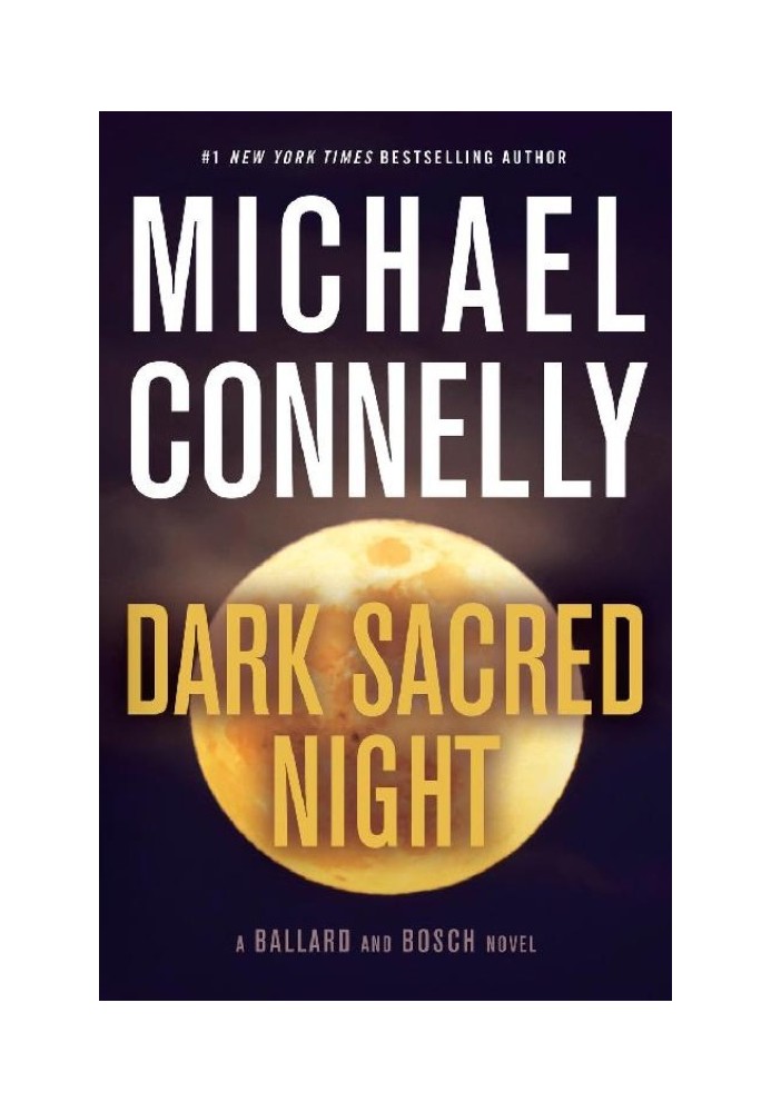 Book Dark Sacred Night