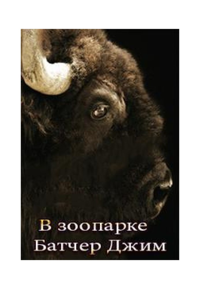 Book At the Zoo (15.2)