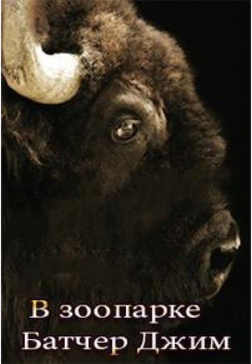 Book At the Zoo (15.2)