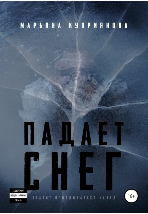Book Snow falls