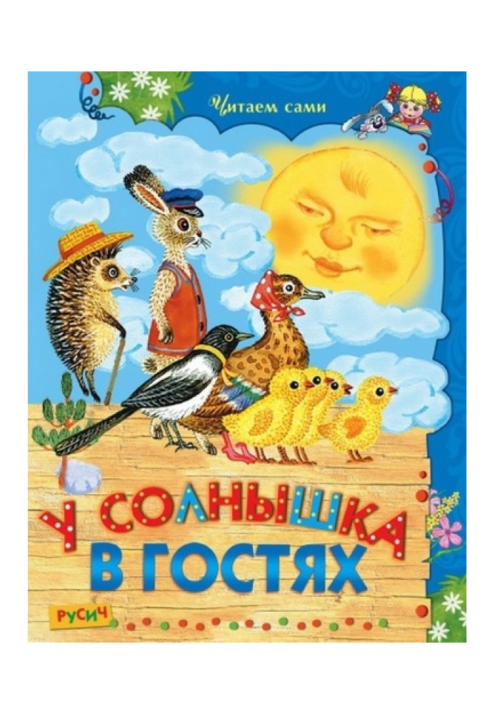 Book Visiting the sun