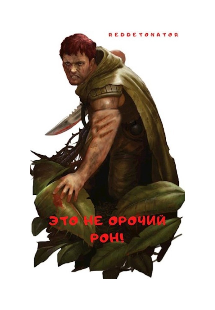 Книга Это не орочий Рон!