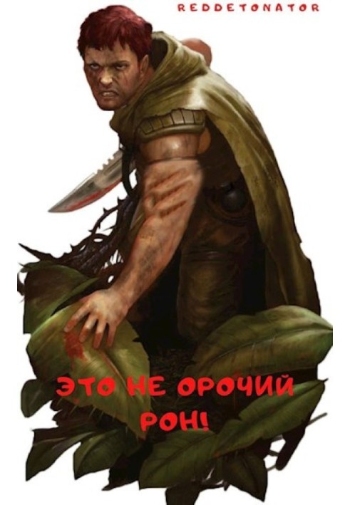 Книга Это не орочий Рон!