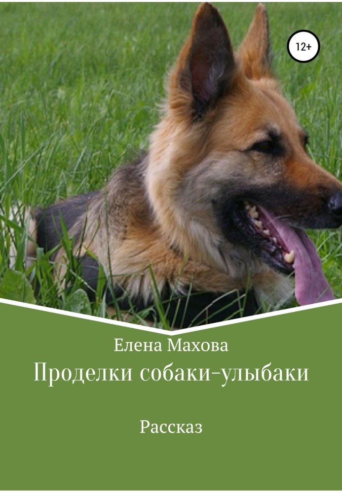 Book Tricks of the smiling dog