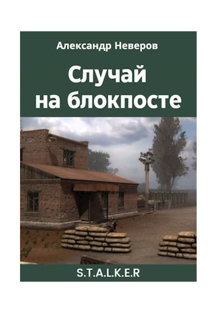 Book Incident at the checkpoint