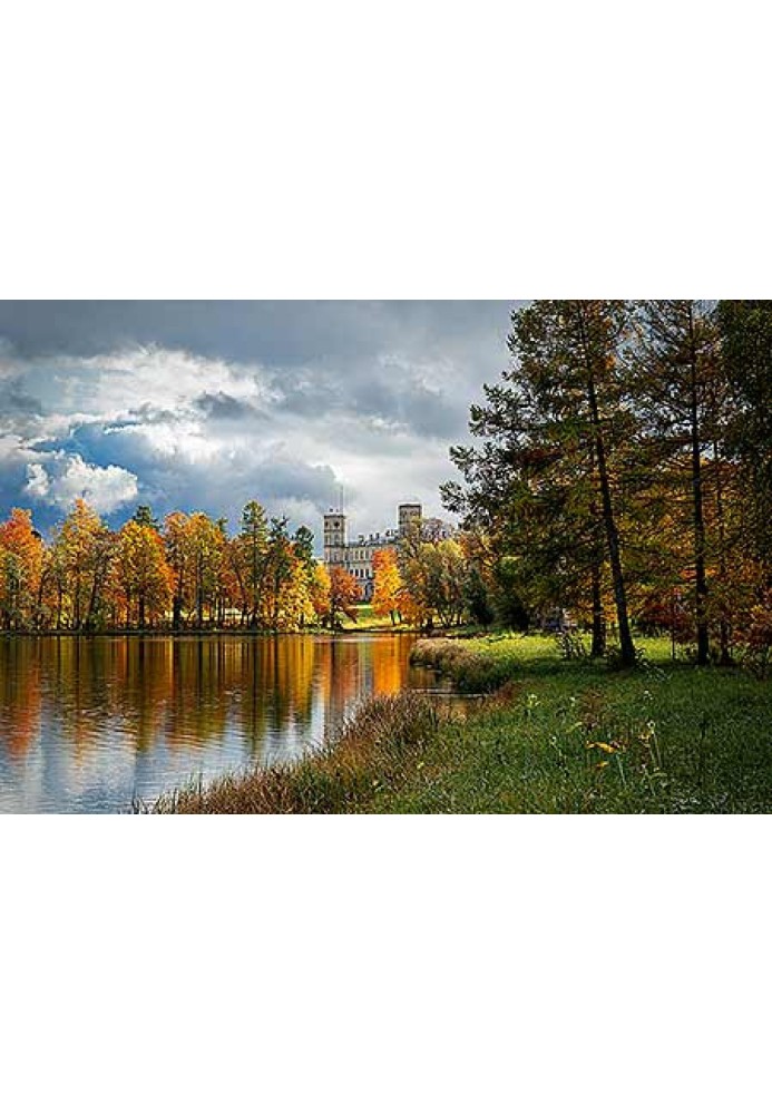 Книга Старшеклассница
