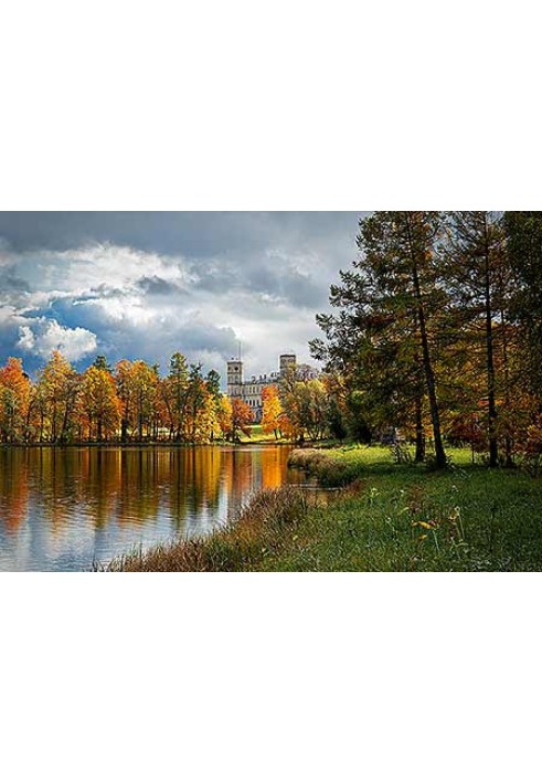 Книга Старшеклассница