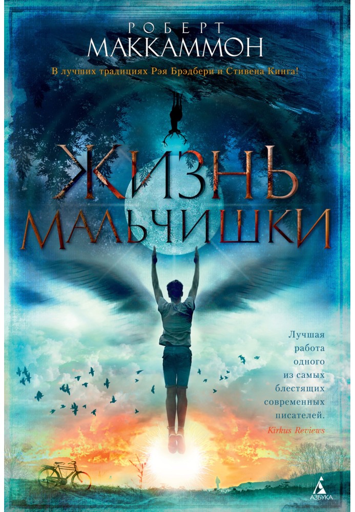 Книга Жизнь мальчишки