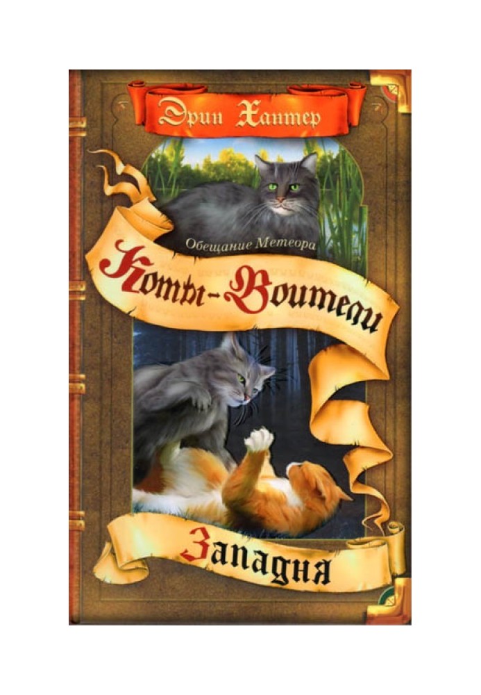 Книга Обіцянка Метеора. Книга 1. Пастка