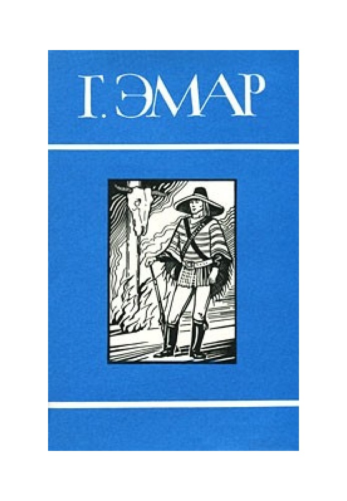 Книга Том 20. Фланкер. Нова Бразилія