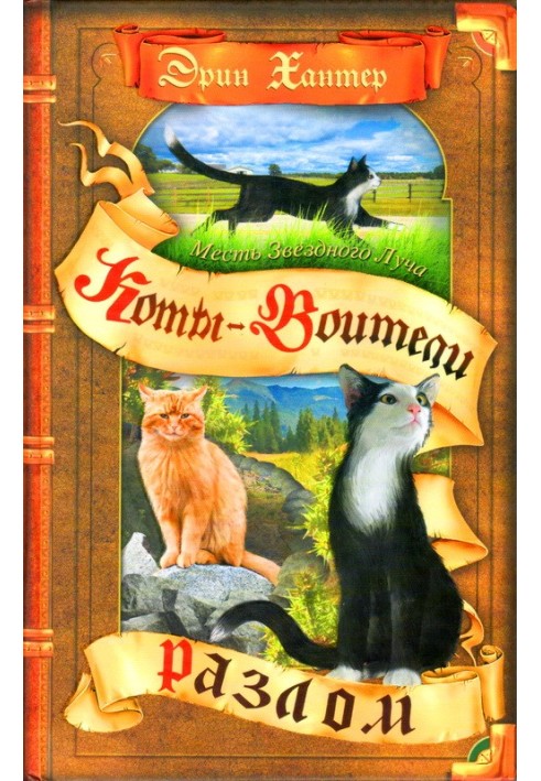 Книга Месть Звёздного Луча. Разлом