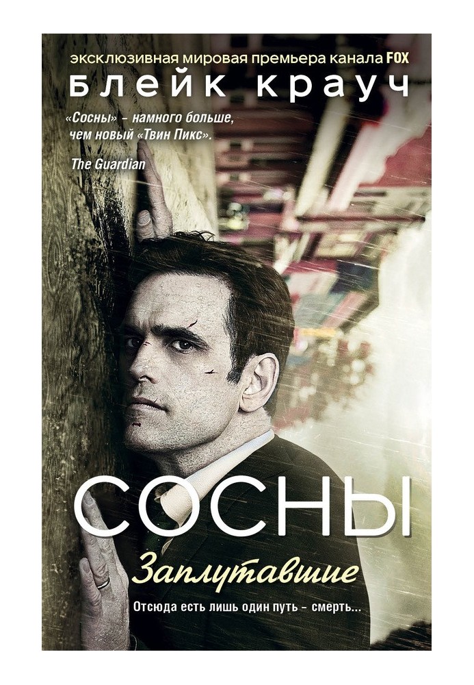 Книга Сосны. Заплутавшие