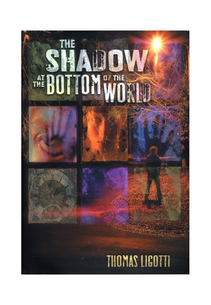 Book The Shadow at the Bottom of the World