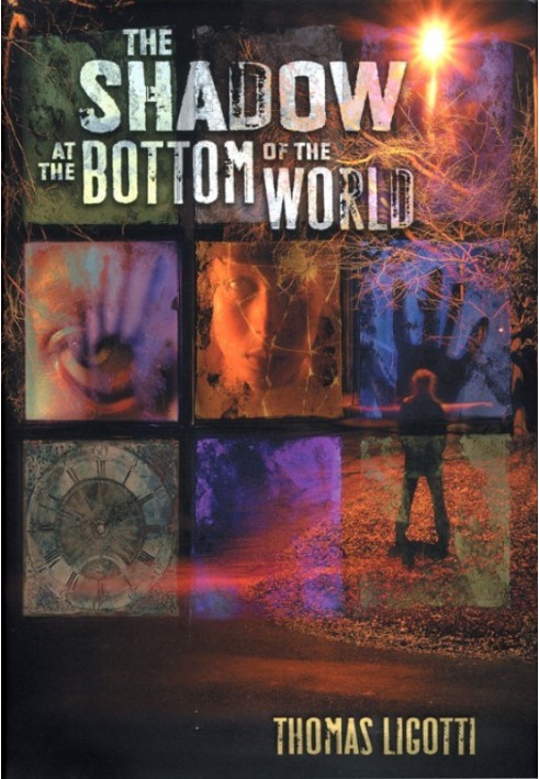 Book The Shadow at the Bottom of the World