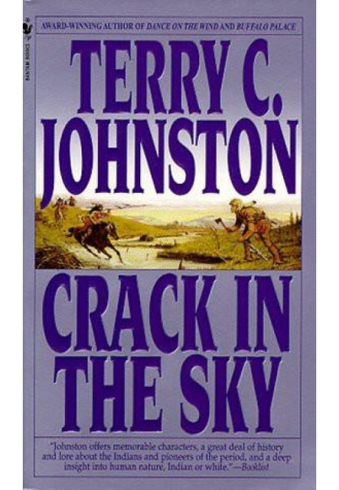 Book Crack in the Sky