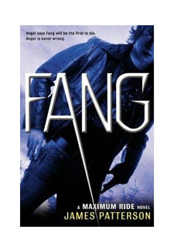Book Fang