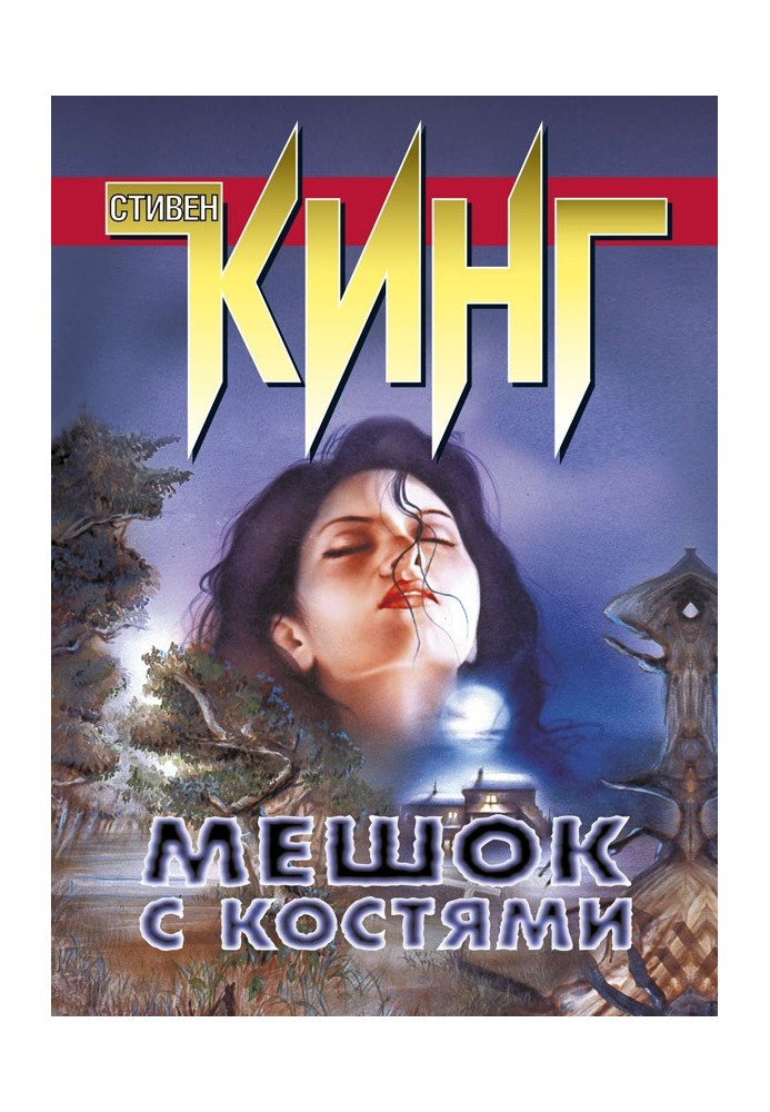 Книга Мешок с костями