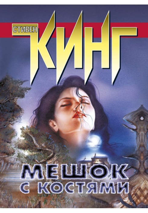 Книга Мешок с костями
