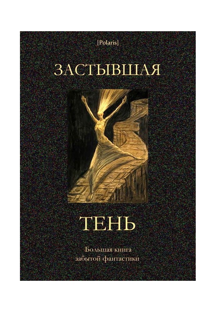 Книга Застывшая тень