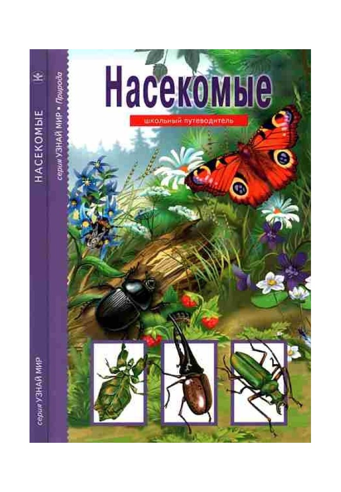 Book Insects