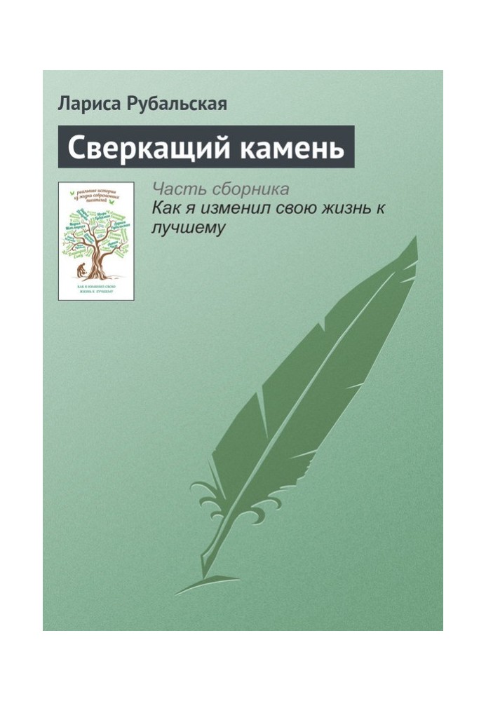 Книга Сверкащий камень