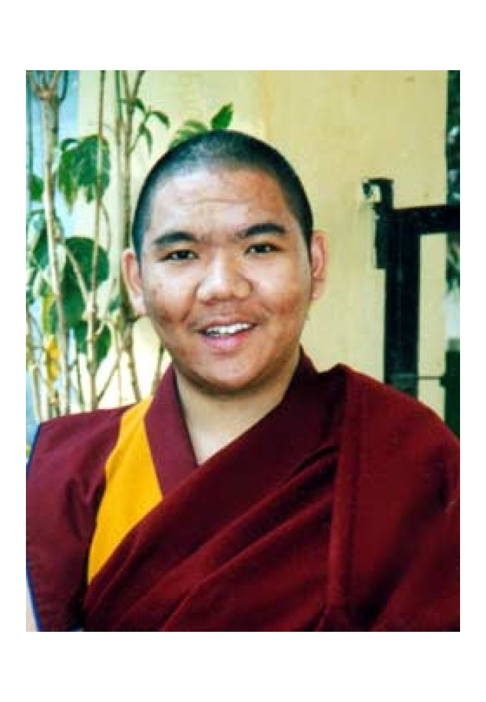 Book Portrait of Tsenshab Serkong Rinpoche