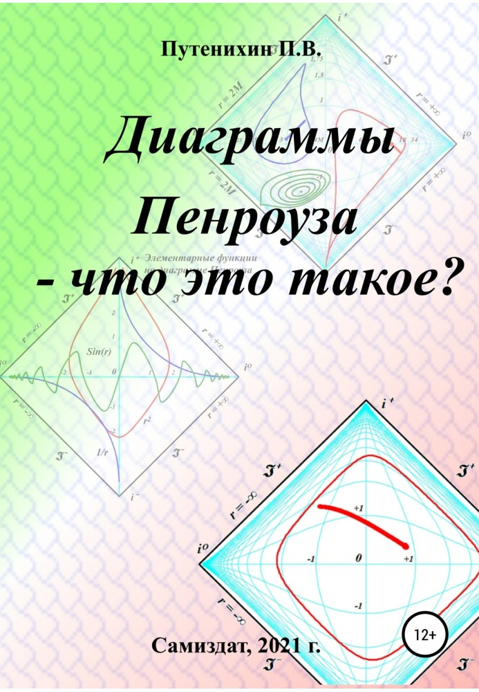 Book Penrose diagrams - what are they?
