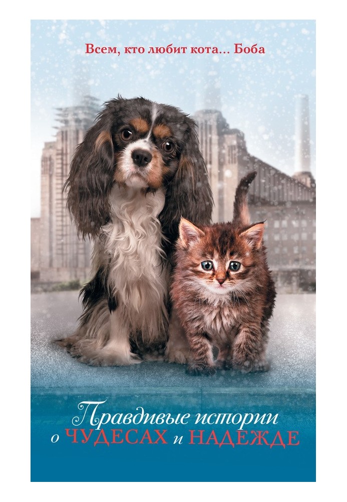 Книга Правдиві історії про чудеса та надії