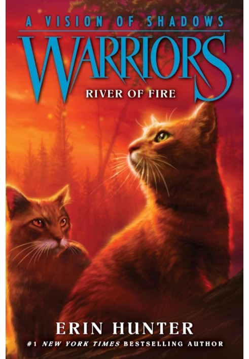 Book River Of Fire