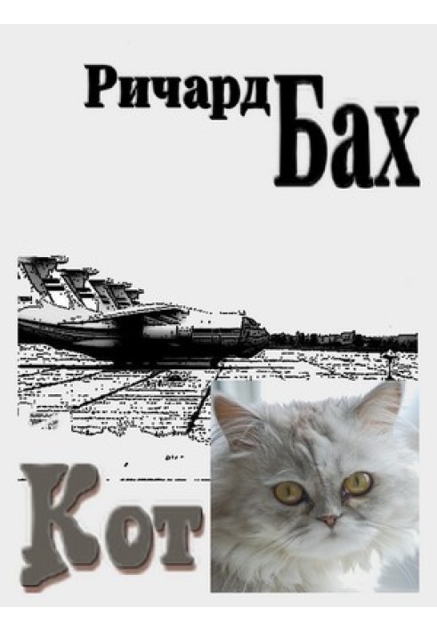 Книга Кот